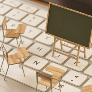 Programlar ve Eğitimler